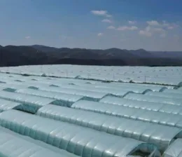 Ordinary agricultural film