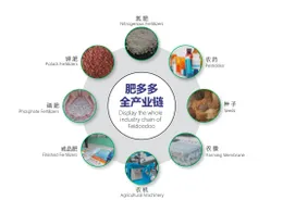 官方公告：Feidoodoo平台已成为2024年第六届博鳌国际农业会议的战略合作单位！