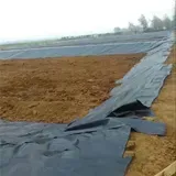 FDD High Density Polyethylene Geomembrane, HDPE Liner Manufacturer, 2mm HDPE Liner, Fish Farm Geomembrane Factory