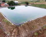 FDD High Density Polyethylene Geomembrane, HDPE Liner Manufacturer, 2mm HDPE Liner, Fish Farm Geomembrane Factory