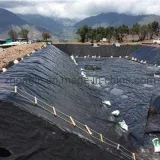 FDD Coated Po Film Greenhouse Film UV Resistant Agricultural Film
