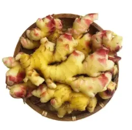 Fresh Small yellow ginger