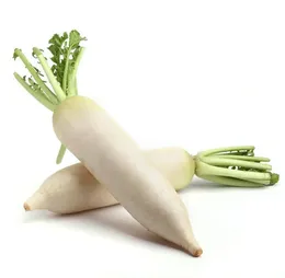 Fresh white radish