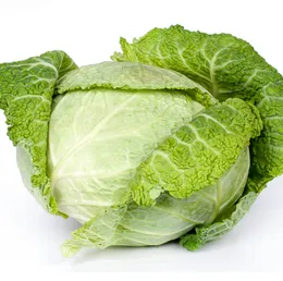Fresh Flat Cabbage
