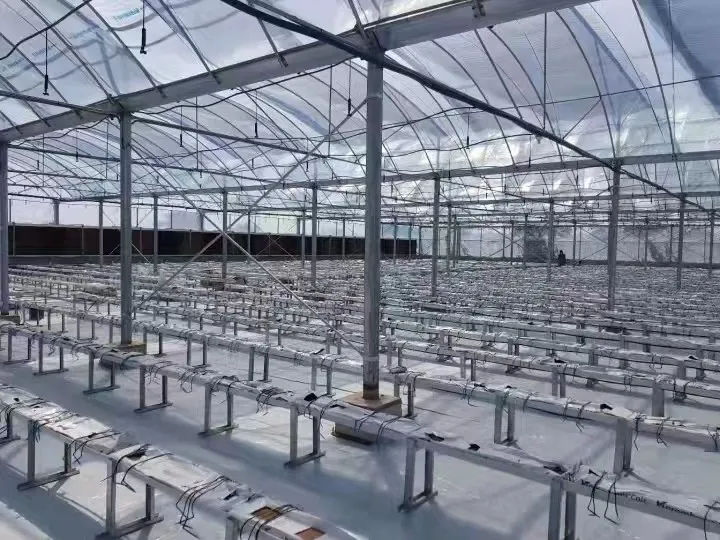 Greenhouse Farming Single-span PE Film greenhouse for Agriculture Low cost High Tunnel Agriculture greenhouse for sale