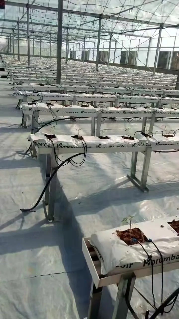 Greenhouse Farming Single-span PE Film greenhouse for Agriculture Low cost High Tunnel Agriculture greenhouse for sale
