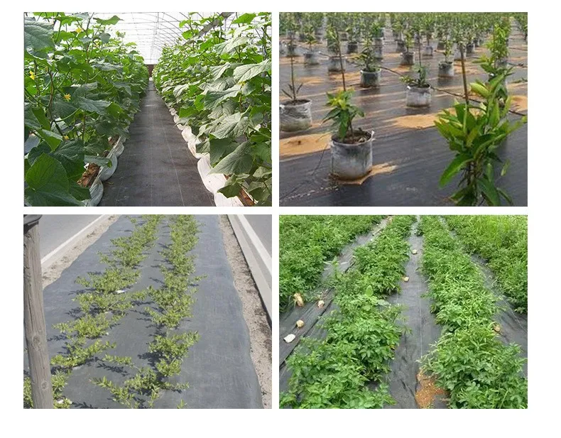 Black and Green PP woven fabric/ weedbarrier/ weed control mat/Environmentally Friendly groundcover