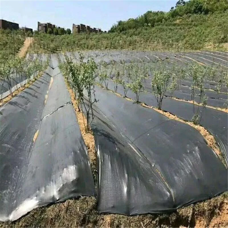 Custom Agricultural Use Anti Weed Mulch Black Agricultural Mulch Film