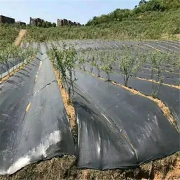 Custom Agricultural Use Anti Weed Mulch Black Agricultural Mulch Film