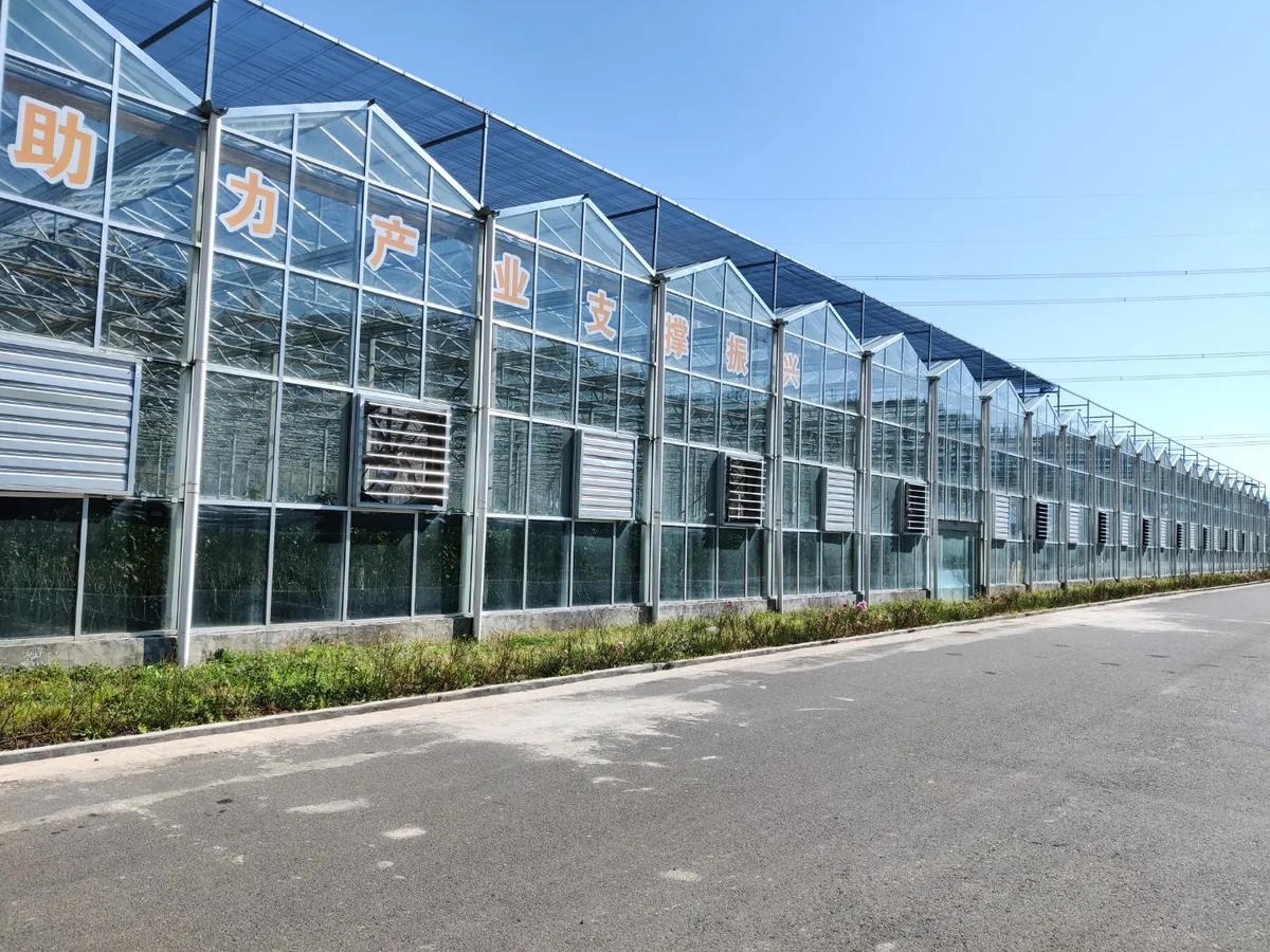 Sell Well Various small greenhouses for sale light dep greenhouse heater for Plants