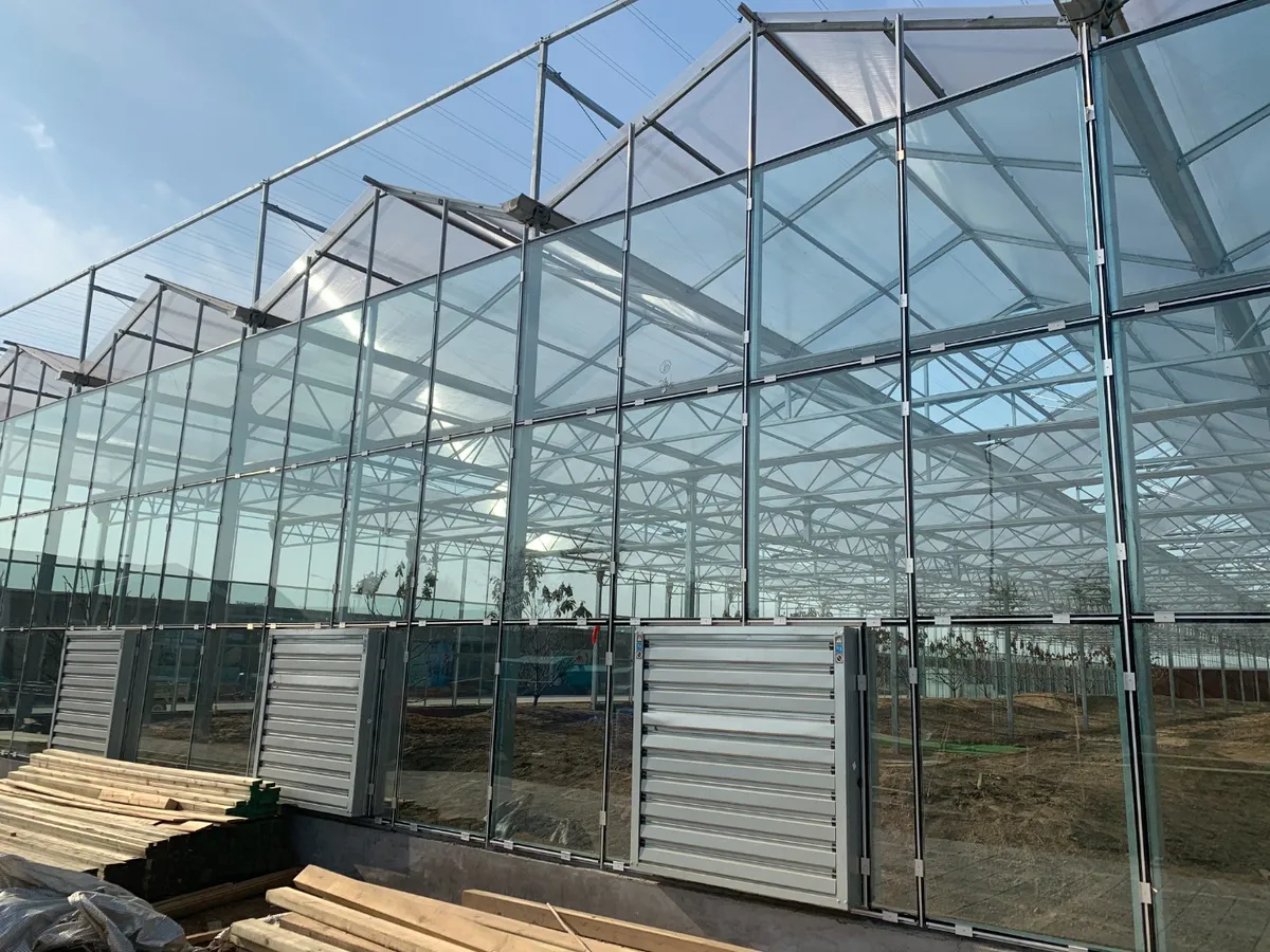 Galvanized Steel Frame Single Span Pe Film Greenhouse For Agriculture Low Cost Tunnel Greenhouse For Flowers Plant