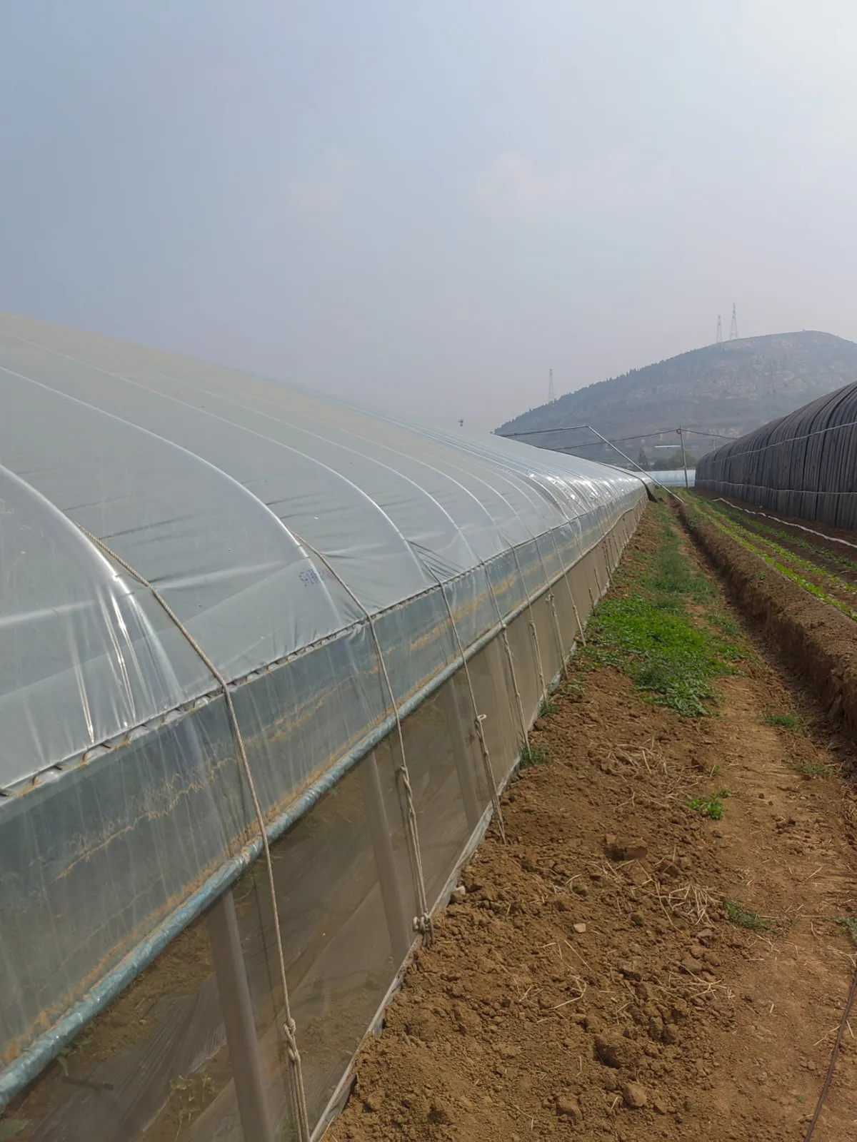 Hot Selling Greenhouse Galvanized Welded Wire Mesh Steel Seedbed Mesh Agricultural Breeding Nursery Equipment