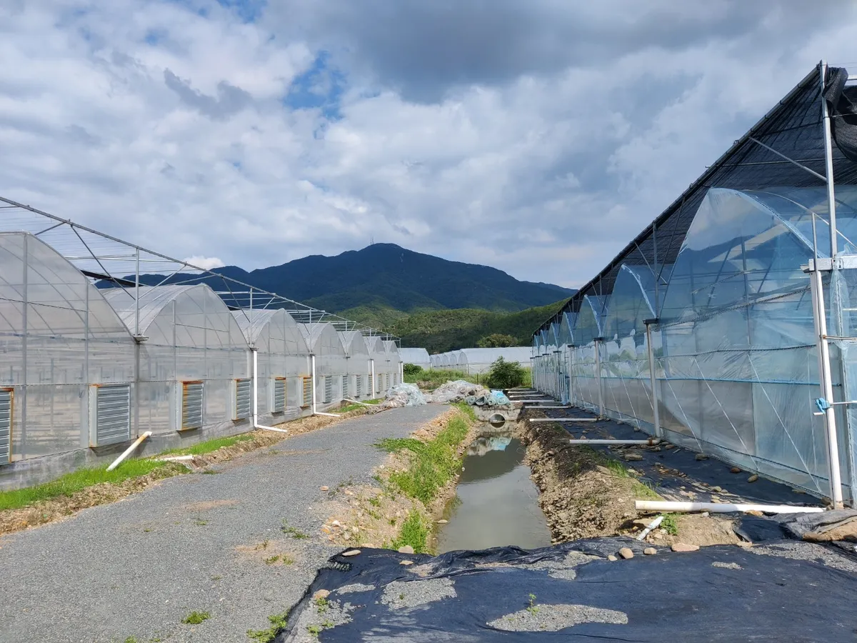 Sell Well Various small greenhouses for sale light dep greenhouse heater for Plants