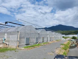 Hot Selling Greenhouse Galvanized Welded Wire Mesh Steel Seedbed Mesh Agricultural Breeding Nursery Equipment