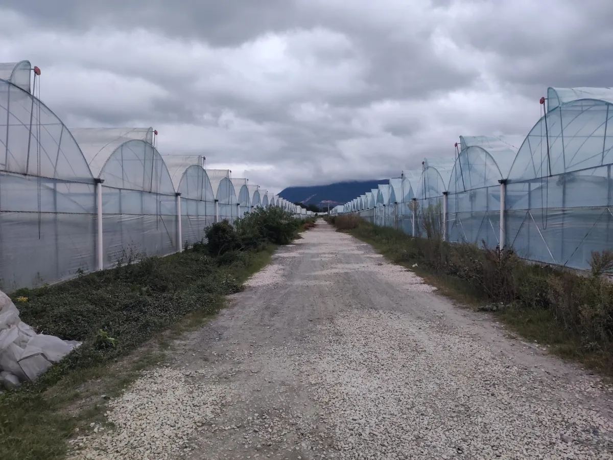 Hot Selling Greenhouse Galvanized Welded Wire Mesh Steel Seedbed Mesh Agricultural Breeding Nursery Equipment