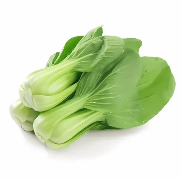 FRESH-GREEN LEAF PATIO 5KG/PCS(200g*25)