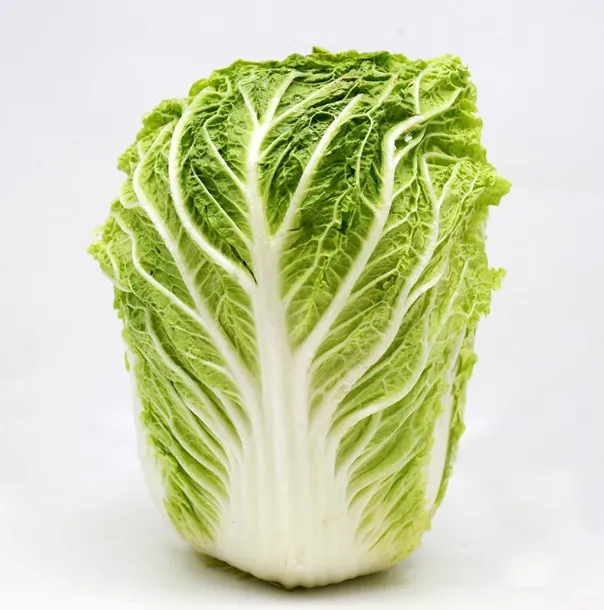 FRESH CHINESE CABBAGE