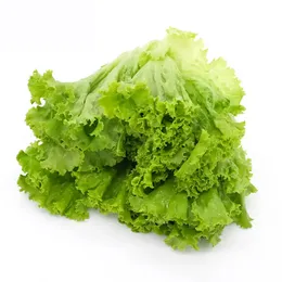 FRESH FRILLICE ICEBERG LETTUCE