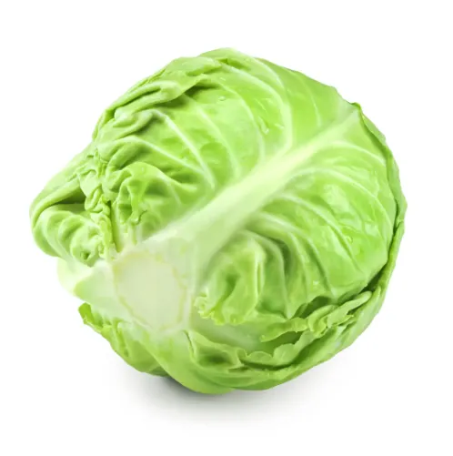 FRESH POINTED CABBAGE-