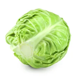 FRESH POINTED CABBAGE-