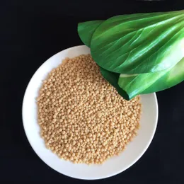 DI-AMMONIUM PHOSPHATE（Yellow）