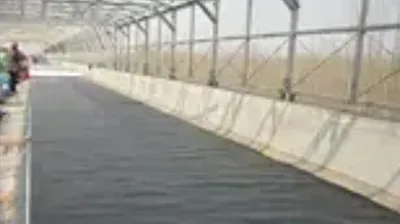 FDD 紫外線 200-250 微米農業溫室薄膜 6 密耳塑料薄膜