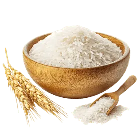 Standard Fragrant Rice