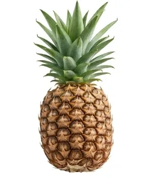 Fresh Whole Pineapple - Pattavia / Phu Lae