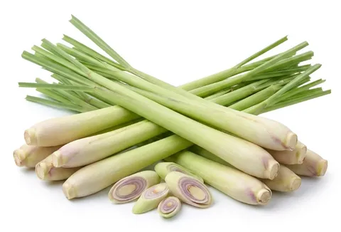 Fresh Lemongrass Stalks