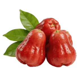 Fresh Thubthim Chan Rose Apple