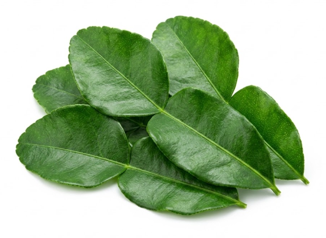 Kaffir Lime Leaves / Makrut Lime Leaves