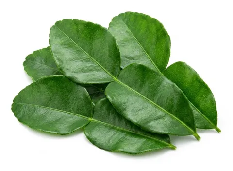 Kaffir Lime Leaves / Makrut Lime Leaves