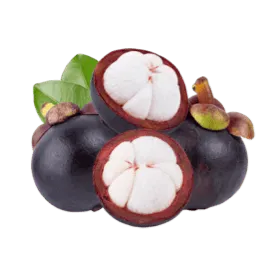 Fresh Mangosteen