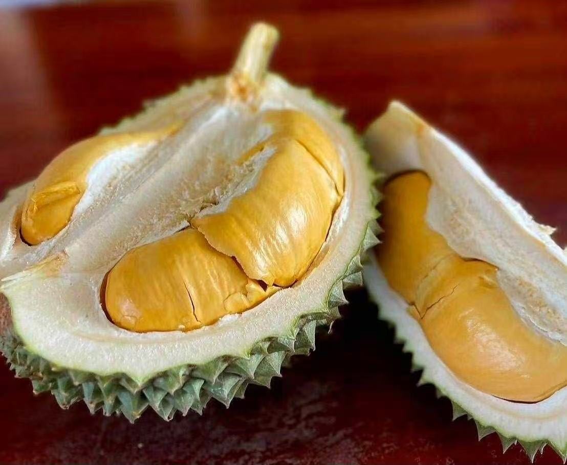 Fresh Black Thorn Durian