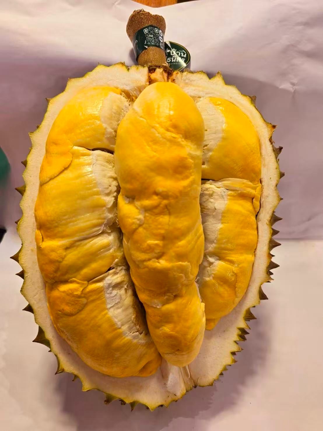 Fresh Chanee Durian