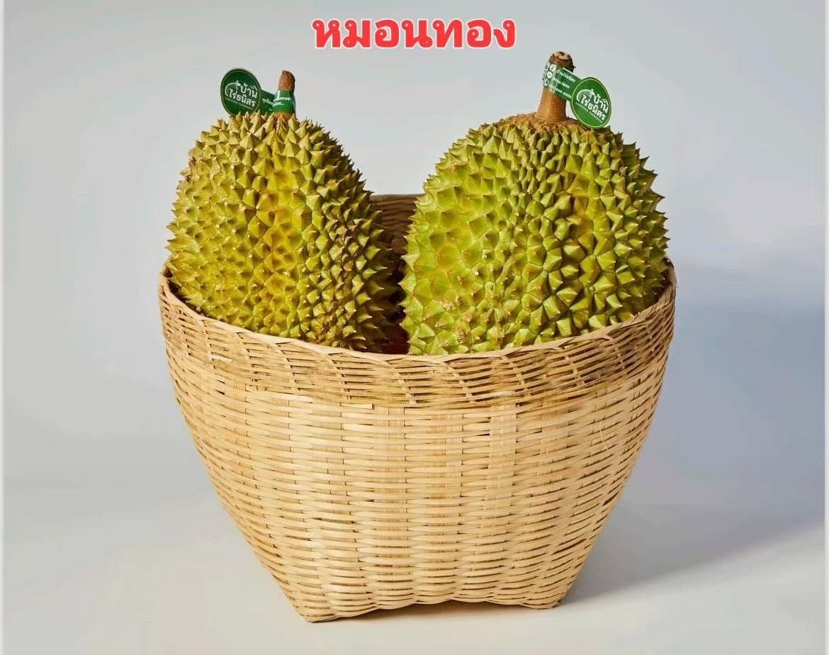 Fresh Monthong Durian