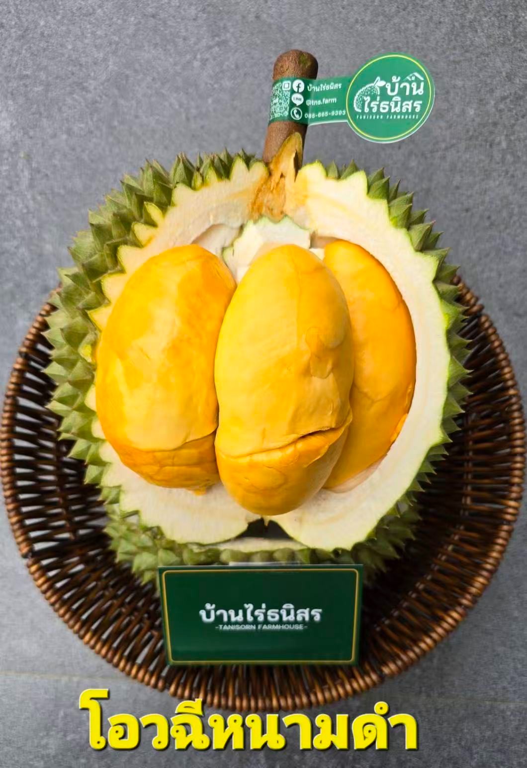Fresh Black Thorn Durian
