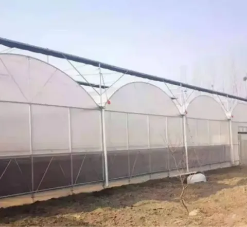 Greenhouse film