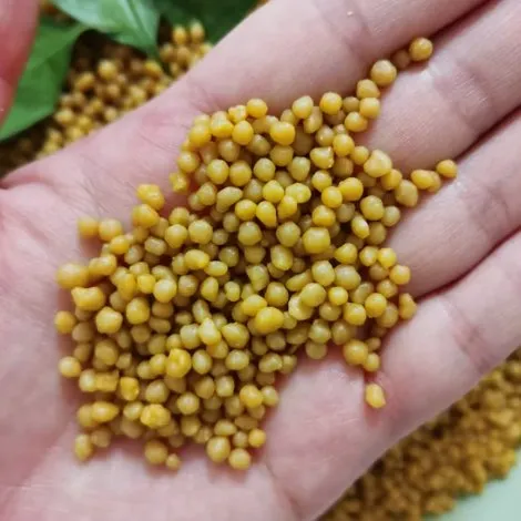 DI-AMMONIUM PHOSPHATE（Yellow）