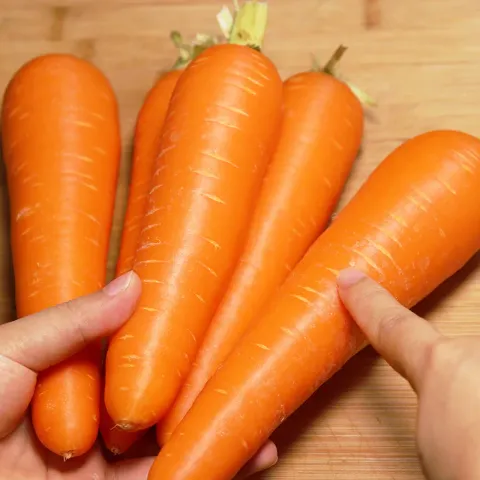 FRESH CARROT