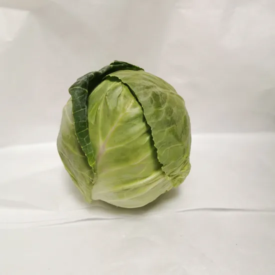 Fresh Flat Cabbage