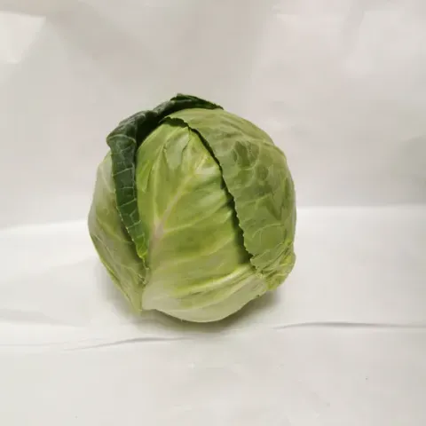 Fresh Flat Cabbage