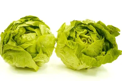 FRESH ROMAINE-