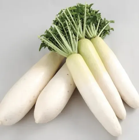 Fresh white radish