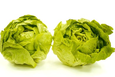 FRESH-ROMAINE
