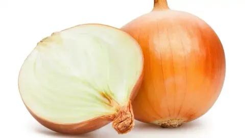 YELLOW-ONION