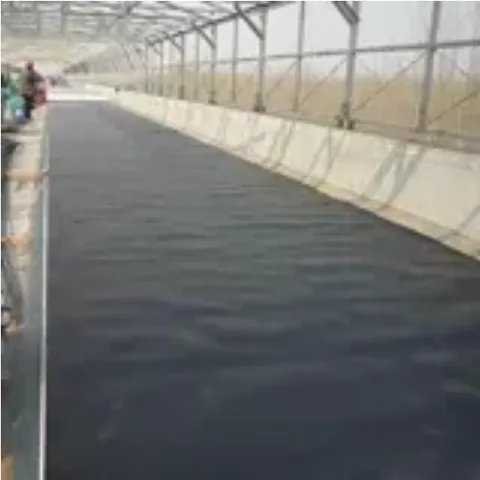 FDD 200 UV-250 MIK pertanian rumah kaca Film plastik 6 Mil